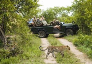 Prix d'un safari en Afrique : les safaris en groupe sont ils moins chers ?